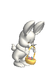 hase